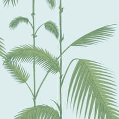 Cole & Son Tapeta PALM LEAVES 2010, kolekcia NEW CONTEMPORARY