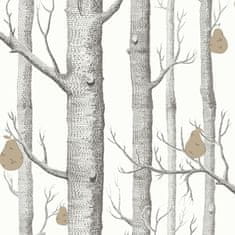 Cole & Son Tapeta WOODS & PEARS 5027, kolekcia CONTEMPORARY restyled