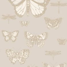 Cole & Son Tapeta BUTTERFLIES & Dragonflies 15064, kolekcia Whimsical