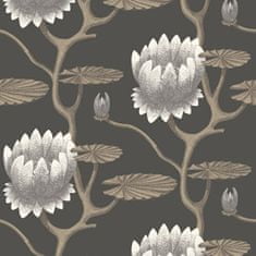 Cole & Son Tapeta SUMMER LILY 4026, kolekcia CONTEMPORARY restyled