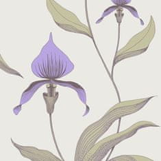 Cole & Son Tapeta ORCHID 4024, kolekcia NEW CONTEMPORARY