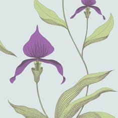 Cole & Son Tapeta ORCHID 4027, kolekcia NEW CONTEMPORARY