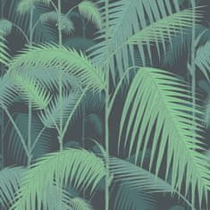 Cole & Son Tapeta PALM JUNGLE 1003, kolekcia CONTEMPORARY restyled