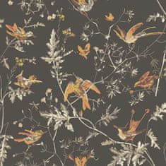 Cole & Son Tapeta Hummingbirds 4017, kolekcia ICONS