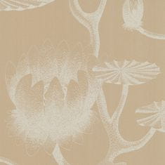 Cole & Son Tapeta LILY 3113, kolekcia NEW CONTEMPORARY TWO