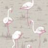 Tapeta Flamingos 6042, kolekcia NEW CONTEMPORARY