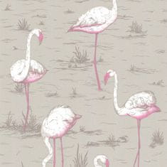 Cole & Son Tapeta Flamingos 6042, kolekcia NEW CONTEMPORARY