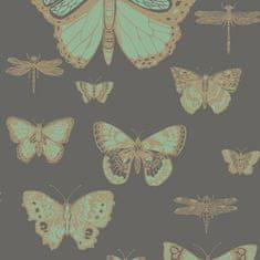 Cole & Son Tapeta BUTTERFLIES & Dragonflies 15067, kolekcia Whimsical