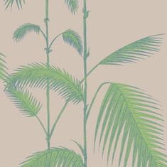 Cole & Son Tapeta PALM LEAVES 2011, kolekcia NEW CONTEMPORARY