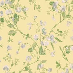 Cole & Son Tapeta SWEET PEA 6029, kolekcia ARCHIVE ANTHOLOGY