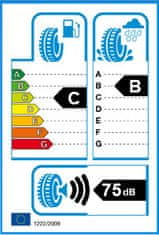 Gripmax 295/35R21 107W GRIPMAX STATUS ALLCLIMATE XL