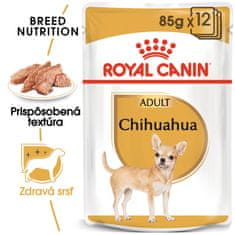 Royal Canin kapsička Chihuahua Loaf paštéta 12 x 85 g