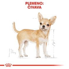 Royal Canin Chihuahua, 12x85g