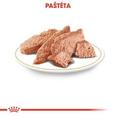 Royal Canin kapsička Chihuahua Loaf paštéta 12 x 85 g