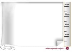 Patifix Dimex – Jednofarebné fólie 10-1305 BIELA LESK - šírka 45 cm