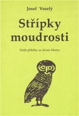 Josef Veselý: Střípky moudrosti - Další příběhy ze života Mistra