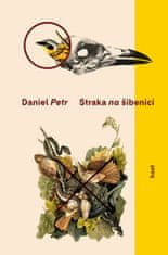 Daniel Petr: Straka na šibenici