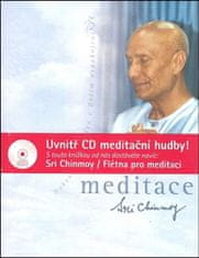 Sri Chinmoy: Meditace + CD Flétna pro meditaci - Dokonalost člověka v Božím uspokojení
