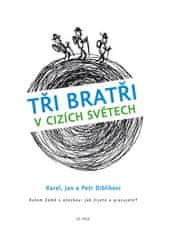 Jan Diblík: Tři bratři v cizích světech - Kolem Země s otázkou: Jak žijete a pracujete?