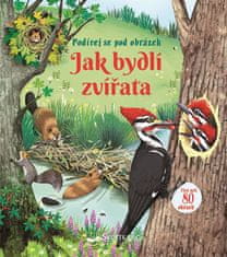 Emily Bone: Jak bydlí zvířata - Podívej se pod obrázek