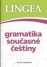 Kolektiv autorů: Gramatika současné češtiny - ...už to nespletu