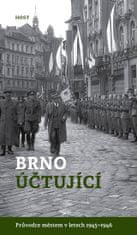 Alexandr Brummer: Brno účtující