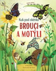 Brouci a motýli - kuk pod okénko