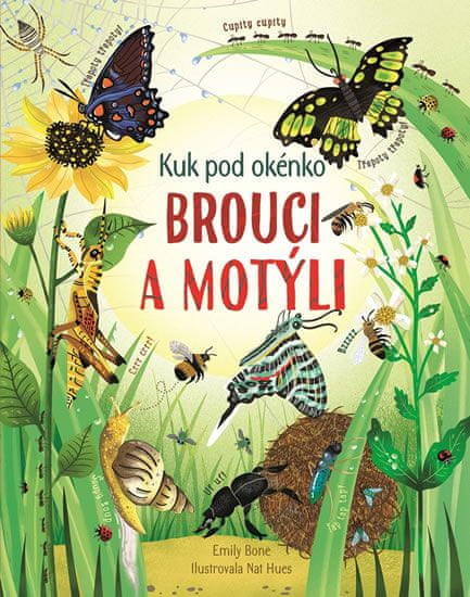 Brouci a motýli - kuk pod okénko