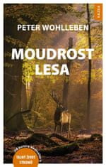 Peter Wohlleben: Moudrost lesa