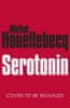 Michel Houellebecq: Serotonin (anglicky)