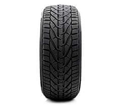 Riken 245/45R18 100V RIKEN SNOW XL