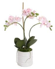 Shishi Malá orchidea s kvetináčom 40 x 25 cm ružová