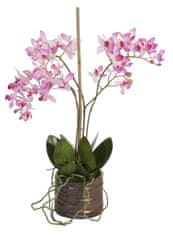 Shishi Malá orchidea s kvetináčom 40 x 25 cm tmavo ružová