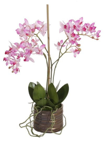 Shishi Malá orchidea s kvetináčom 40 x 25 cm tmavo ružová