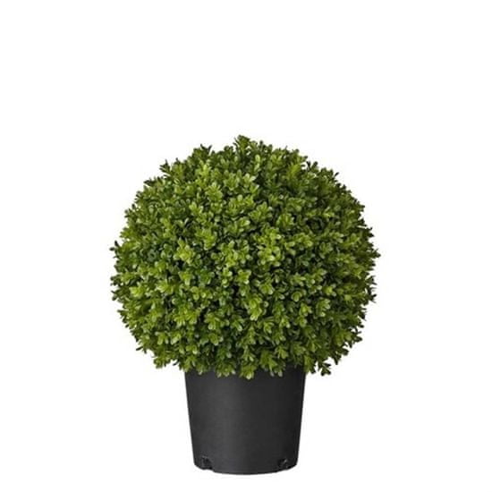 Lene Bjerre Malý buxus FLORA, zelený, výška 47 cm