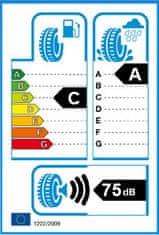 General 295/35R21 107Y GENERAL GRABBER GT PLUS