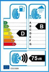 Petlas 315/80R22,5 156K PETLAS RC700 (DR OO)