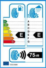 Continental 295/35R21 107V CONTINENTAL ContiCrossContact Winter