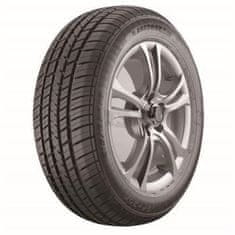 Austone 225/55R17 101H AUSTONE SP301