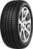 225/55R17 97 W MINERVA F205