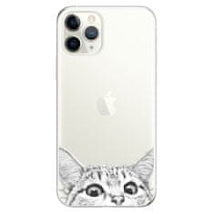 iSaprio Silikónové puzdro - Cat 02 pre Apple iPhone 11 Pro