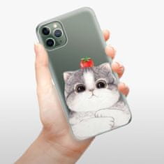 iSaprio Silikónové puzdro - Cat 03 pre Apple iPhone 11 Pro Max