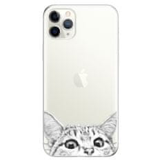 iSaprio Silikónové puzdro - Cat 02 pre Apple iPhone 11 Pro Max