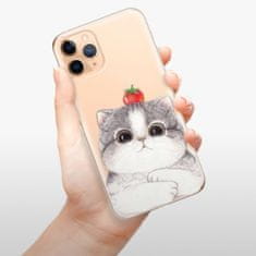 iSaprio Silikónové puzdro - Cat 03 pre Apple iPhone 11 Pro