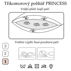 Ch. Fischbacher Vankúš PRINCESS 60 x 90 cm z husieho a kajčího peria v hodváb paisley