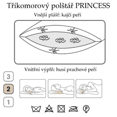 Ch. Fischbacher Vankúš PRINCESS 50 x 70 cm z husieho a kajčího peria v hladkom hodváb