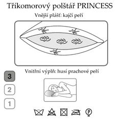 Ch. Fischbacher Vankúš PRINCESS 65 x 100 cm z husieho a kajčího peria v hodváb paisley