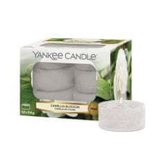 Yankee Candle Sviečky čajové , Kvet kamélie, 12 ks