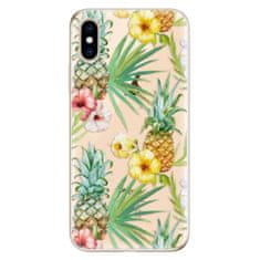 iSaprio Silikónové puzdro - Pineapple Pattern 02 pre Apple iPhone XS