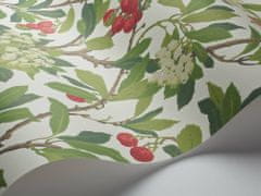 Cole & Son Tapeta STRAWBERRY TREE 10049, kolekcia ARCHIVE ANTHOLOGY